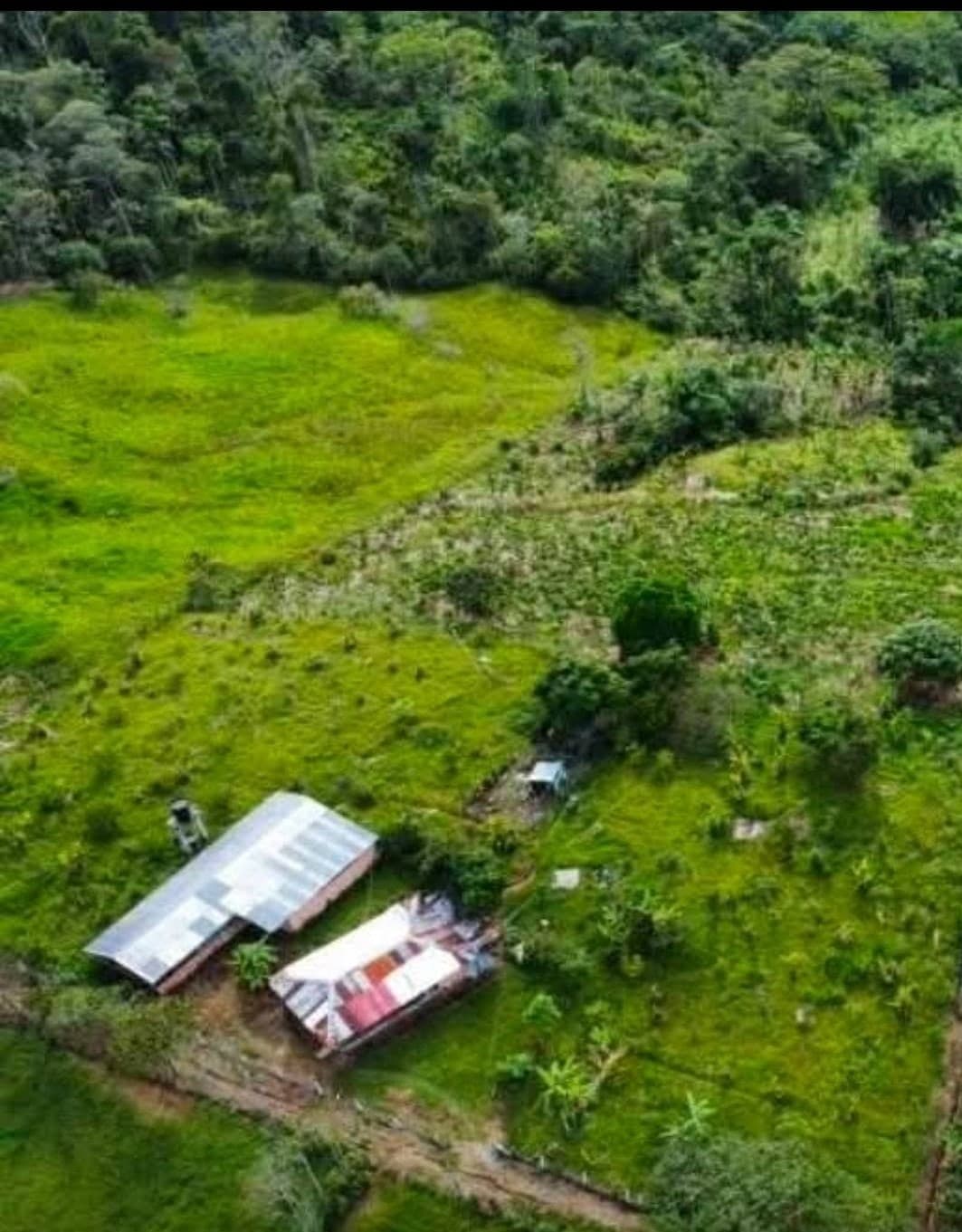 Espectacular Finca Cacaotera de 6 Hectáreas en Lejanías, Meta